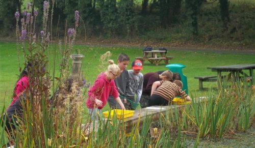 Pupils pond dipping