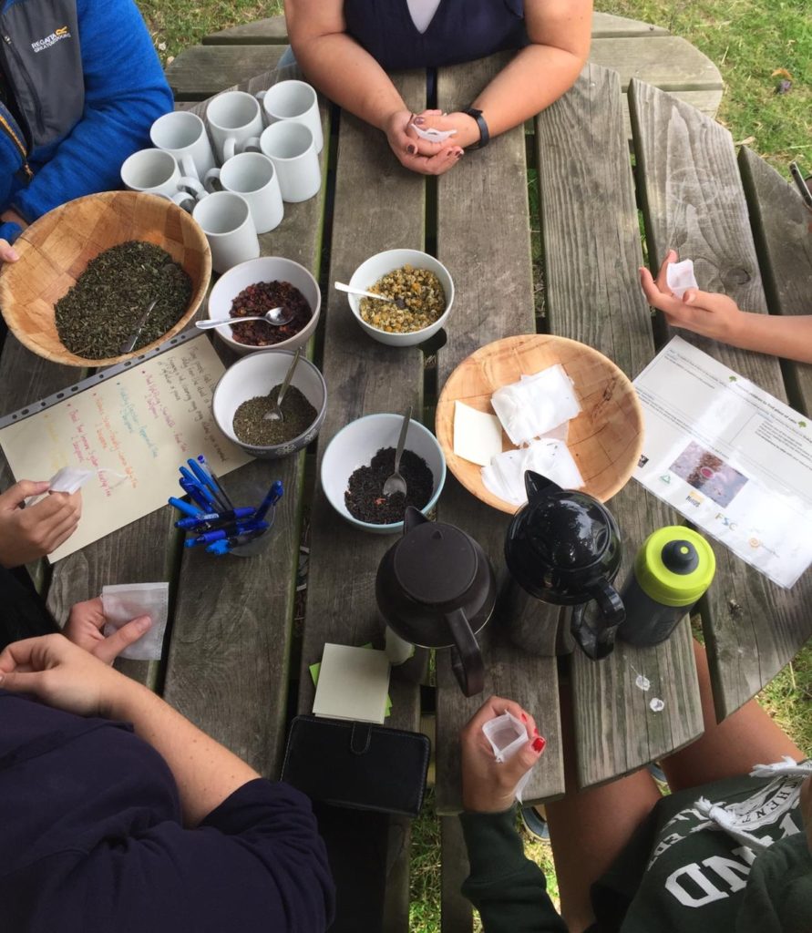 FSC staff find a moment of calm to make and enjoy a herbal brew
