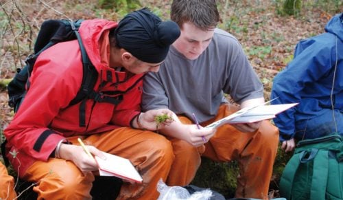Two male students out in the field identifying moss